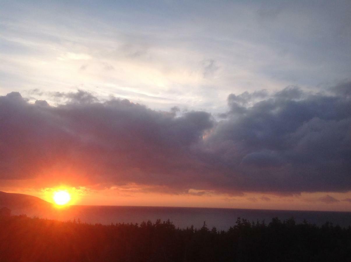 Burton'S Sunset Oasis MotelBay Saint Lawrence エクステリア 写真